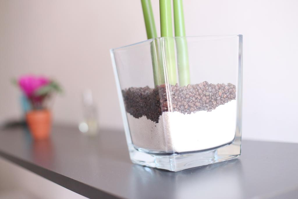 Iris Room Roma Phòng bức ảnh